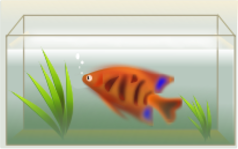 clip art clipart svg openclipart color fish water air pet bubbles swim aquarium swimming algae 剪贴画 颜色 水 宠物