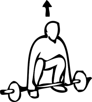 clip art clipart svg openclipart line art 男孩 man 运动 activity exercise male guy fitness weightlifting instruction gym weights lifting lift up 剪贴画 男人 线描 线条画 男性