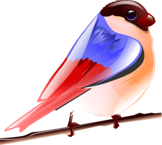 clip art clipart svg openclipart colorful color nature 动物 bird fly branch tree 图标 bird colors bird icon sparrow 剪贴画 颜色 彩色 树木 鸟 多彩 飞行