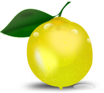 clip art clipart svg openclipart 食物 yellow leaf fruit photorealistic lemon slice yummy juicy citron citrus 剪贴画 黄色 树叶 叶子 水果