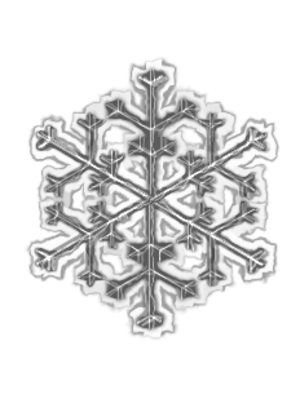 clip art clipart image svg openclipart cold ice nature grayscale 图标 snow snowflake weather winter sign symbol gray christmas conditions photocopied christmas period 剪贴画 符号 标志 圣诞 圣诞节 冬天 冬季 去色 灰色 雪