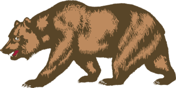 clip art clipart svg openclipart brown color 动物 mammal outline bear zoo flag biology zoology walking painting wildlife california salk 剪贴画 颜色 旗帜 哺乳类动物