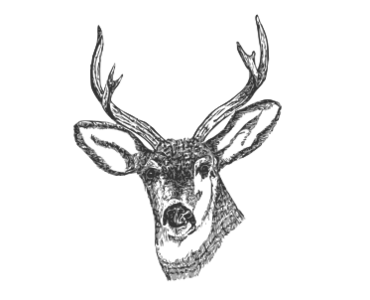 clip art clipart svg openclipart black line art drawing white horn head profile santa deer horns hunting deers hunt 剪贴画 线描 线条画 黑色 白色 头像 头部