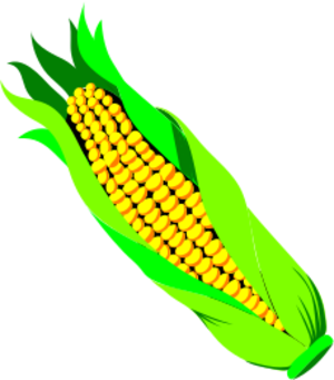 clip art clipart svg openclipart green color 食物 nature plant yellow vegetable contour head biology cooking eat botany corn bud ear annual sweetcorn 剪贴画 颜色 绿色 草绿 黄色 植物 轮廓 吃的