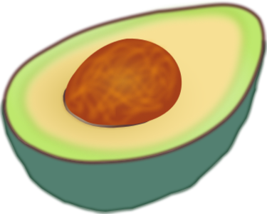 clip art clipart svg openclipart green 食物 fruit cut shadow crop produce half avocado 剪贴画 绿色 草绿 阴影 水果