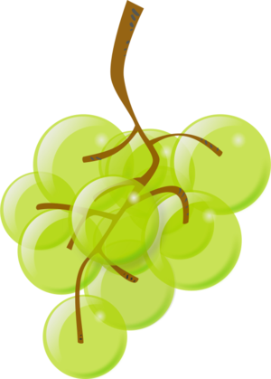 clip art clipart image svg openclipart green color 食物 plant fruit wine transparency shiny grape grapes ripe vine bunch clucter semi-transparent 剪贴画 颜色 绿色 草绿 植物 水果