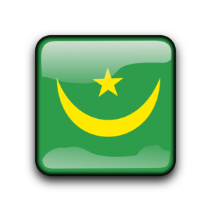 clip art clipart svg iso3166-1 button country flag flags squared state land nation mauritania 剪贴画 旗帜 按钮 领土