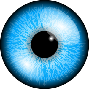 clip art clipart svg openclipart black blue eye human pupil sight organ see eyesight iris 剪贴画 黑色 蓝色 人类 人