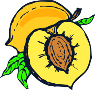 clip art clipart svg openclipart color 食物 nature plant branch fruit produce vitamines peach delicious peach juice 剪贴画 颜色 植物 水果