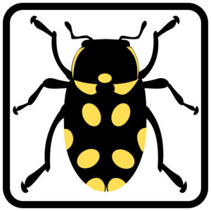 clip art clipart svg openclipart black yellow 动物 图标 insect bug beetle danger legs gnome crawl virus 剪贴画 黑色 黄色 危险 警告
