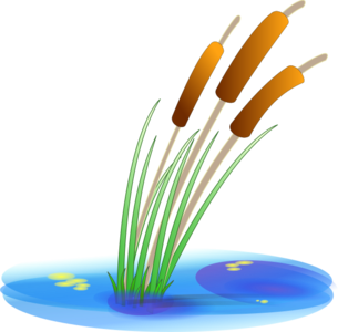 clip art clipart svg openclipart color nature plant water lake grass blowing reed 湖泊 剪贴画 颜色 植物 水 湖