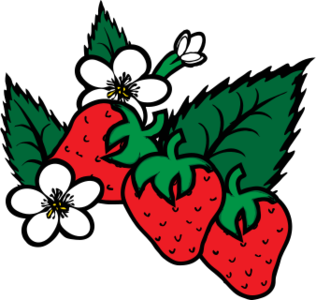 clip art clipart svg openclipart red color 食物 plant 爱情 fruit shadow berries strawberry berry fresh ripe half bunch freshly cream picked 剪贴画 颜色 红色 植物 阴影 水果