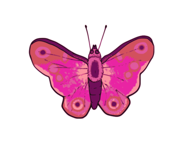 clip art clipart svg openclipart colorful color 花朵 动物 wings cartoon insect decorative bug summer pink abstract cute purple butterfly spring pretty gnu 剪贴画 颜色 卡通 夏天 夏季 夏日 彩色 春天 春季 可爱 粉红 粉红色 多彩 紫色