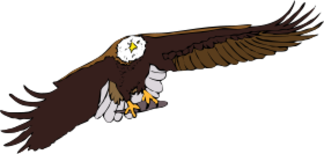 clip art clipart svg openclipart color nature 动物 bird fly wing wings flying fish eagle wind dark sky up wild america wide spread bald eagle 剪贴画 颜色 鸟 飞行