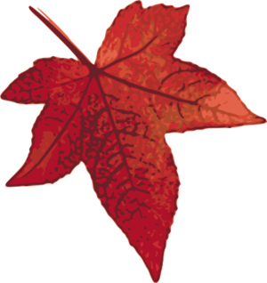 clip art clipart svg garden openclipart brown red nature leaf forest autumn season fall park canada maple fallen 剪贴画 季节 红色 秋天 秋季 树叶 叶子 花园