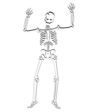 clip art clipart svg openclipart black white silhouette 图标 halloween sign symbol skeleton human scary skull avatar spooky ghost free corps x-ray 31 october 剪贴画 符号 标志 剪影 黑色 白色 万圣节 人类 人 头像 恐怖