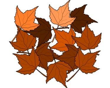 clip art clipart svg openclipart brown leaf autumn leaves fall plants maple fallen 剪贴画 秋天 秋季 树叶 叶子