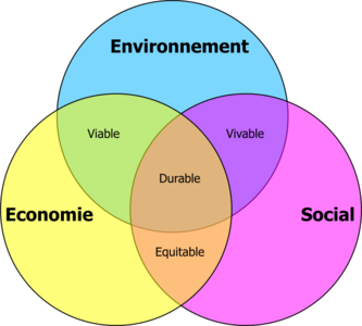 clip art clipart svg openclipart color science circles environment economy common chart social diagram ecology eco sustainable ruable equitable viable vivable cross section 剪贴画 颜色