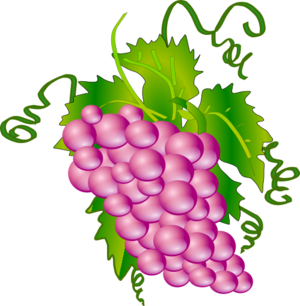 clip art clipart image svg openclipart color 食物 plant fruit wine shiny purple grape grapes ripe vine bunch clucter 剪贴画 颜色 植物 紫色 水果