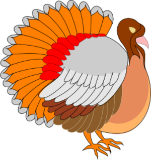 clip art clipart svg openclipart colorful color 动物 bird orange turkey thanksgiving thanks giving 剪贴画 颜色 橙色 彩色 鸟 多彩