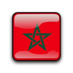 clip art clipart svg iso3166-1 button country flag flags squared morocco 剪贴画 旗帜 按钮