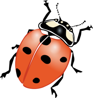 clip art clipart image svg openclipart black 花朵 nature public domain insect media bug ladybug spots country summer 剪贴画 黑色 夏天 夏季 夏日 多媒体