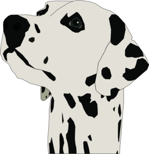clip art clipart svg openclipart black color 动物 white head dog portrait pet spotty nose dalmatian 剪贴画 颜色 黑色 白色 宠物 肖像 头像 狗
