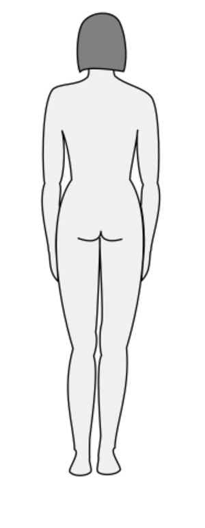 clip art clipart svg public domain silhouette woman lady 人物 contour outline female person 女孩 body back 剪贴画 剪影 女人 女性 女士 人类 轮廓