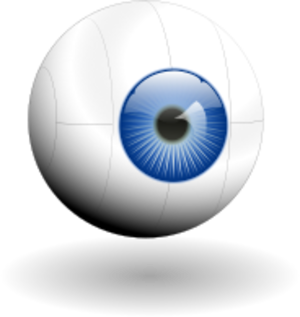 clip art clipart image svg openclipart color blue head part photorealistic eye body human organ see eyesight apple of the eyež look on 剪贴画 颜色 蓝色 人类 人